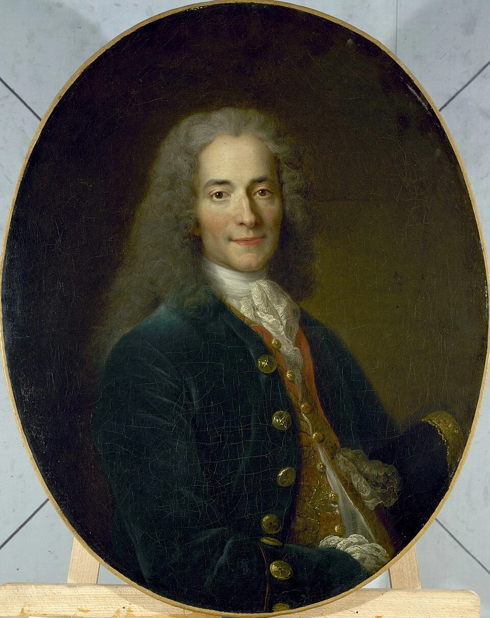 Voltaire Net Worth Estimate: Wealth, Sources, and Limits